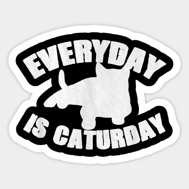 Everyday Is Caturday Funny Cat Lover Gift Sticker by Peter Smith